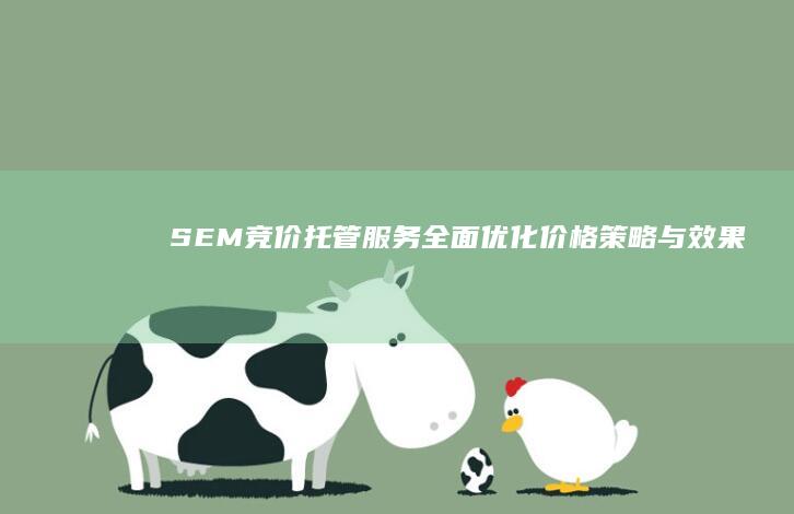 SEM竞价托管服务：全面优化价格策略与效果